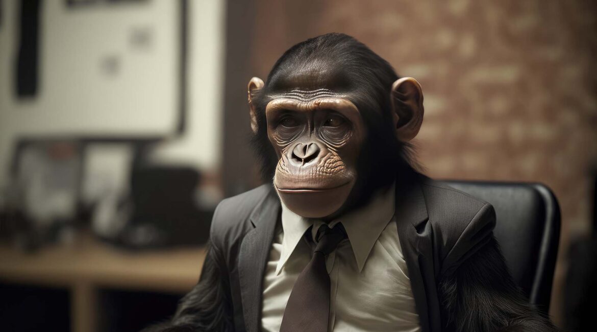 Monkey in a suit at an interview for a real estate brokerage.
