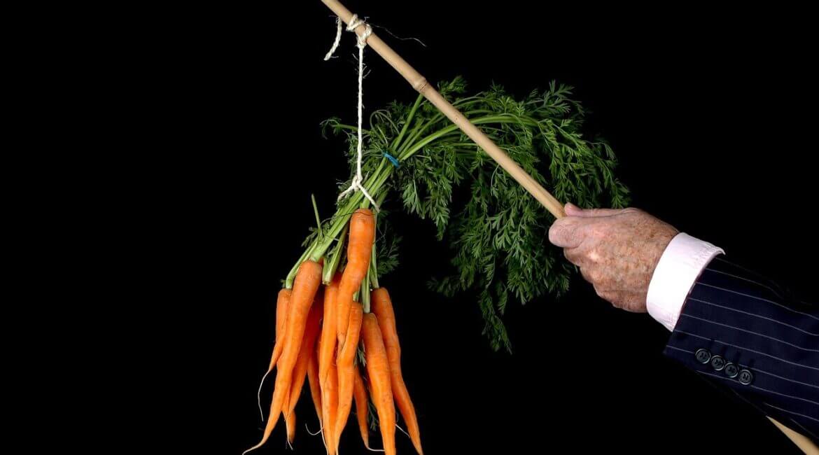 Carrots dangling on a stick